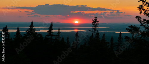 Photography Pine forest and narrow rivers on the background of mountains in Arcadia National
