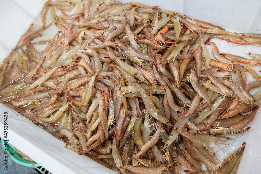 Thailand seafood market fresh sea shrimp Thailand seafood market fresh sea shrimp