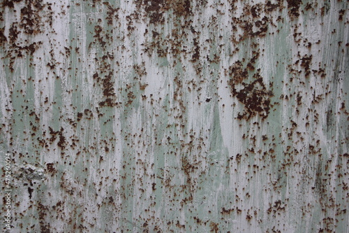 Old light green painted weathered metal surface rusty spots , mockup background texture for wallpaper