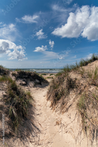 Dunes by Baltic sea next to Liepaja  Latvia.