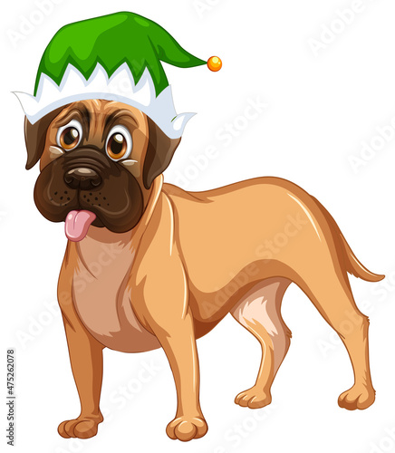 Boxer dog wearing Christmas hat