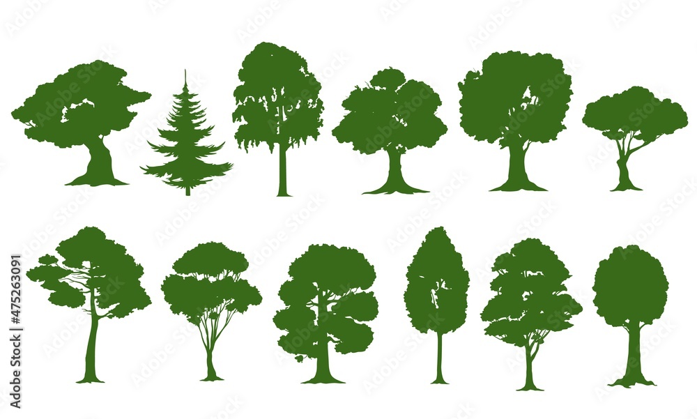 Fototapeta premium Isolated tree silhouettes, vector forest or garden green trees. Oak, pine, spruce fir or birch, willow and maple, nature woods with leaves and bushes, tall ash or poplar tree with branches