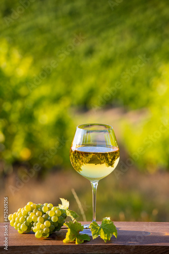 Verre de vin blanc et grappe de raisin dans un vignoble au soleil.
