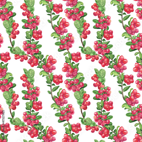Aquarelle cowberry seamless pattern on white background. Watercolor hand drawing illustration. Lingonberry food.