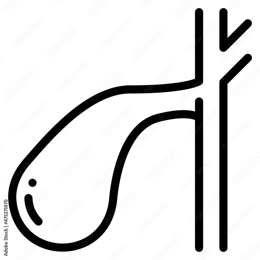 gallbladder outline icon