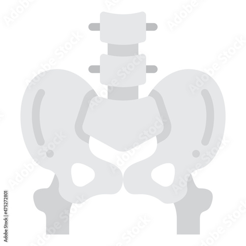 pelvis flat icon