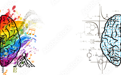 Creative and technical human brain sides wide concept illustration, left and right sides of brain functions concept on white