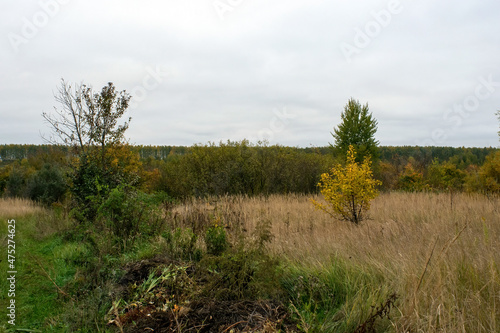 landscape on a cloudy autumn day