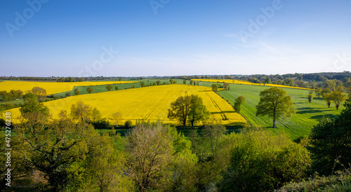 Paysage de campagne, arbres et champs à l'horizon au printemps.