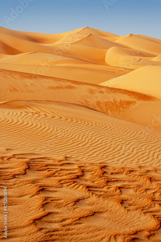 Dune Landscape in the Empty Quarter