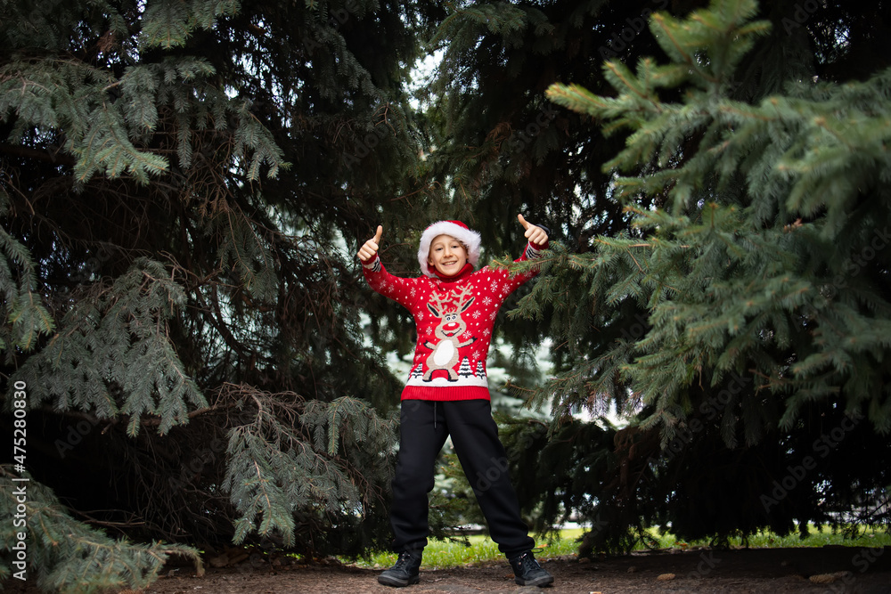 a boy in a red knitted Christmas sweater with a New Year's deer and Santa's hat .stands in the park against the background of Christmas trees