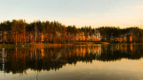 Mirror lake and pine forest