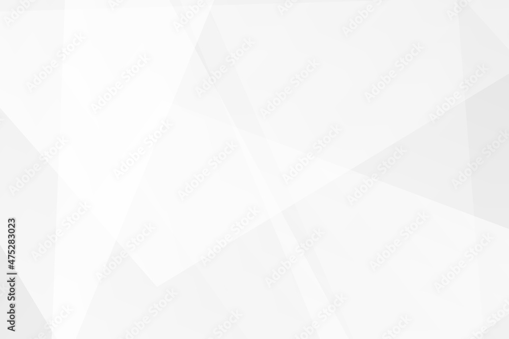 Obraz premium Abstract white and grey on light silver background modern design. Vector illustration EPS 10. 