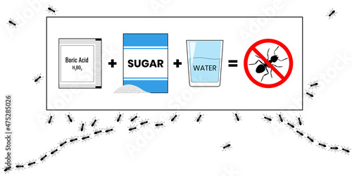 Ant bait recipe with Boric Acid, sugar and water. Insecticide. Prohibited sign no ants. Illustration on white background.