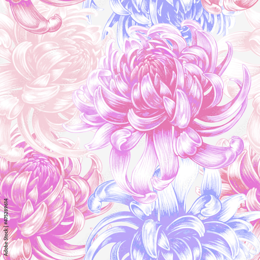 Vector seamless floral pattern with Chrysanthemum flowers.