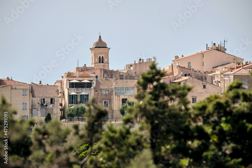 Cliff edge houses behind the trees of the Natural Reserve of Bonifacio