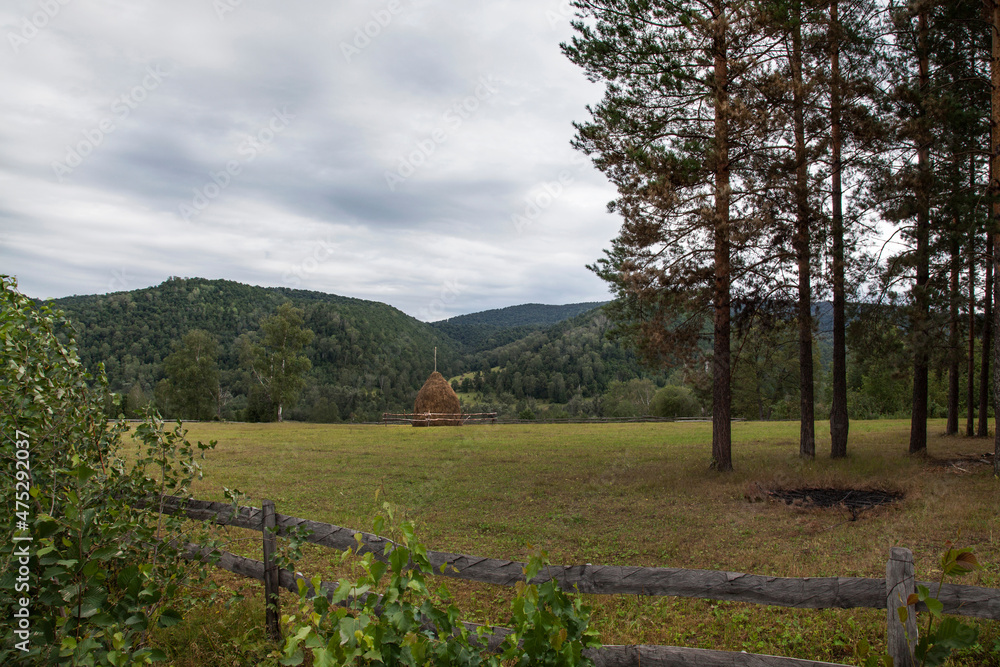 Haystacks on the slopes of the mountains among the forest. The pastures are separated by a wooden fence.