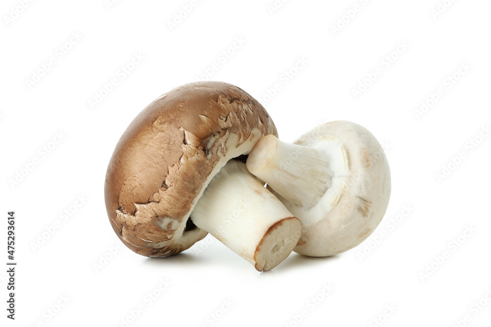 Fototapeta premium Tasty champignons mushrooms isolated on white background
