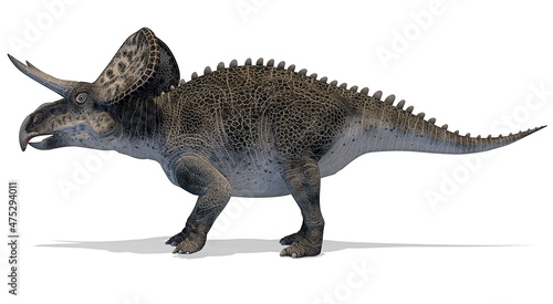 Dinosauro Zuniceratops © imagebos