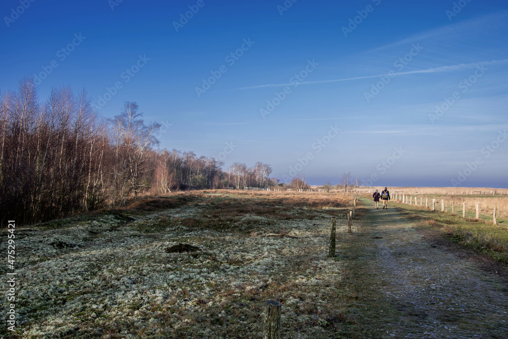 Ein Paar geht im Winter spazieren im Naturschutzgebiet Grüner Brink auf der Insel Fehmarn