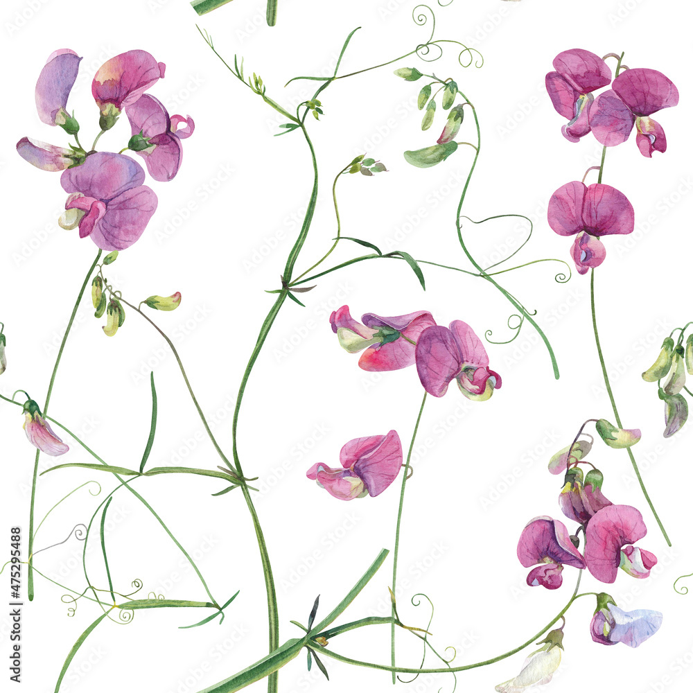 Watercolor seamless pattern of pink wildflowers on a white background