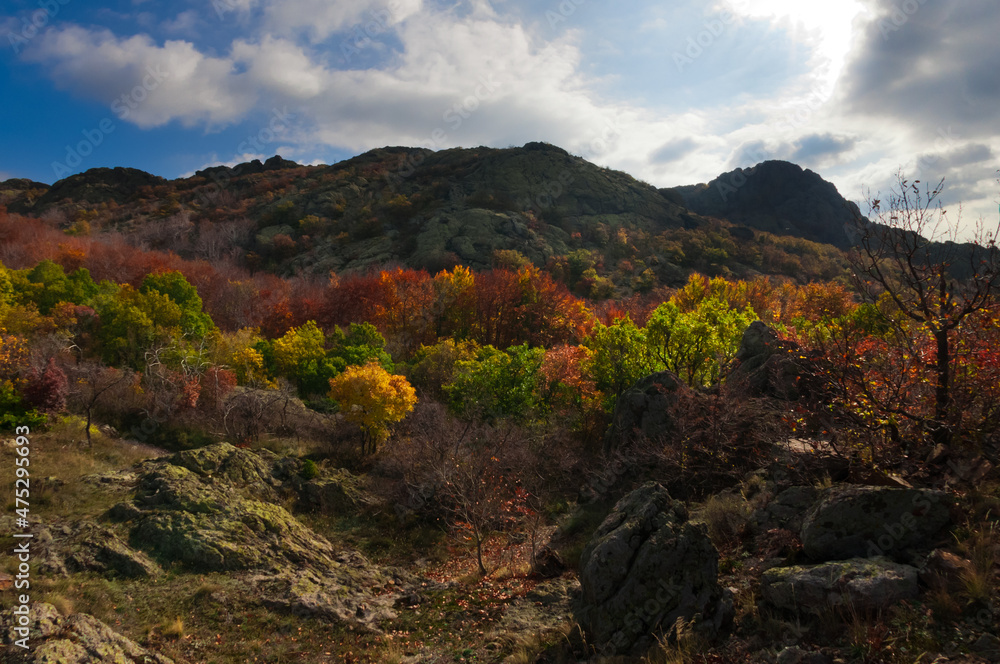 Fototapeta premium autumn in the mountains
