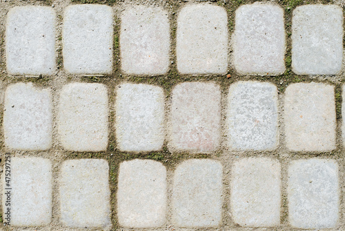 Old, rough outdoor paving stones. Top view light small sidewalk brick with green mold