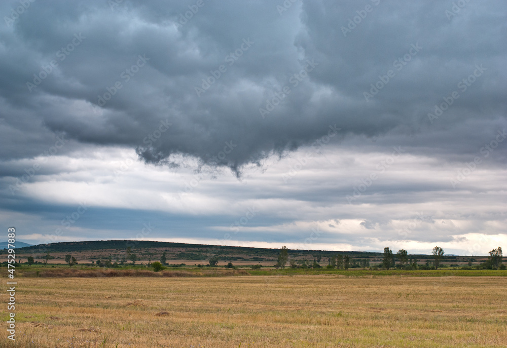 Fototapeta premium clouds over the field