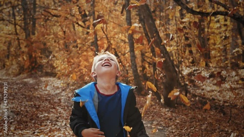 Cheerful and sweet little boy collects fallen autumn leaves and tosses.