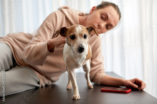 Woman petting three-legged dog jack russell terrier calling on her smartphone at home
