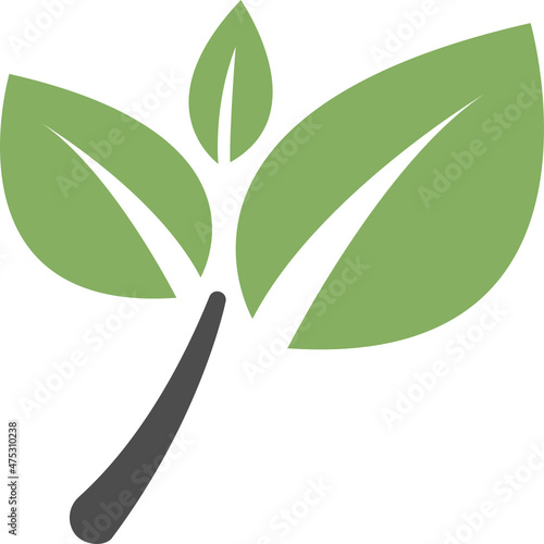 green tea icon