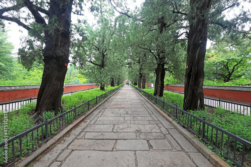 The ancient cypress passage is at Wofo temple in Beijing, China