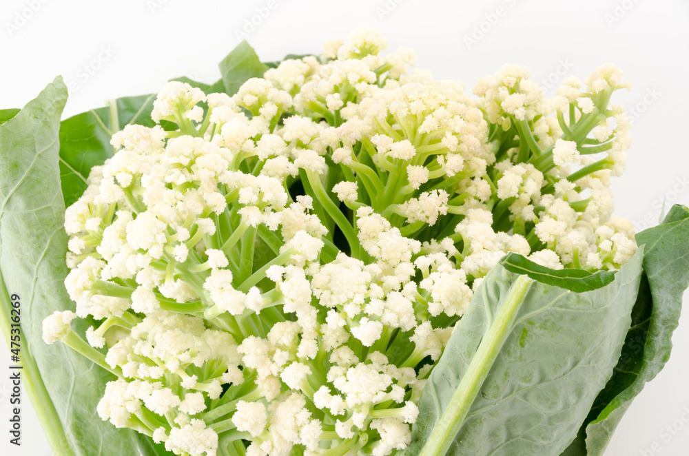 スティックカリフラワー カリフローレ