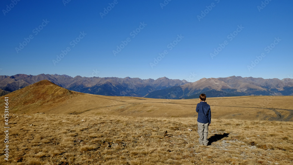 The curious landscapes of the The curious landscapes of the