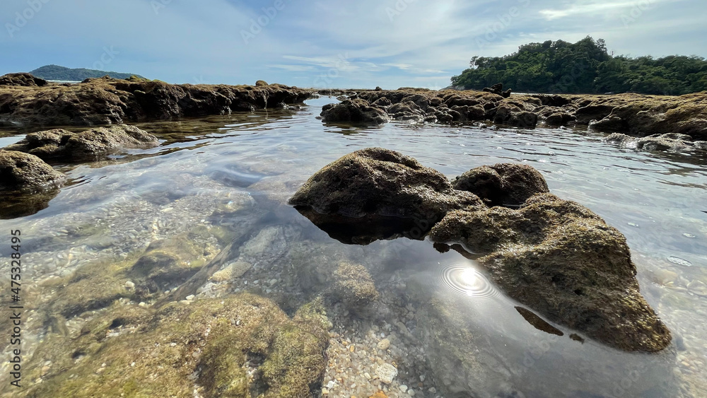 Beautiful seabed is visible at low tide. Stones and corals on the sandy bottom of sea. Ray of sun is reflected on a surface of water. Clear water, shallow water. Green hill, tropical island. Seascape.