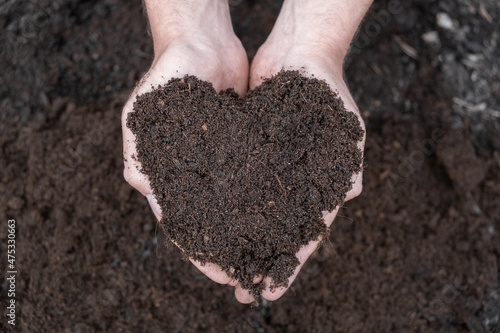 Wallpaper Mural Male farmer holding soil in his hands. Organic Compost ground in heart form. copy space Torontodigital.ca