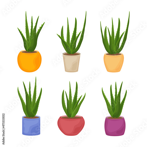 Aloe. A collection of images of the green aloe vera plant in pots of various shapes and colors. Medicinal plant as a skin care product. Vector illustration isolated on a white background