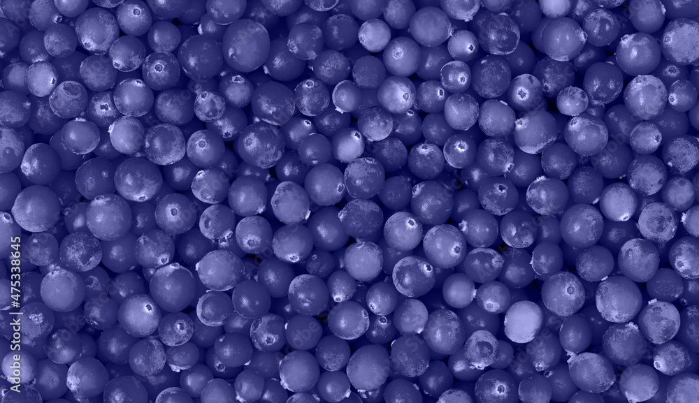 Background with violet cranberry berries. Top view. Trendy color very peri in the 2022 year. Background with violet cranberry berries. Top view. Trendy color very peri in the 2022 year.