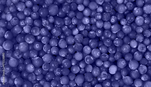 Background with violet cranberry berries. Top view. Trendy color very peri in the 2022 year.