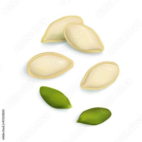 Realistic vector illustration. Pumpkin seeds icon isolated on white background.
