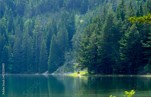 Lichtung am Crno jezero
