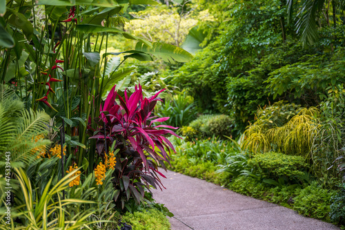 Photography Walking trail through the beautiful blooming Singapore Botanical Gardens