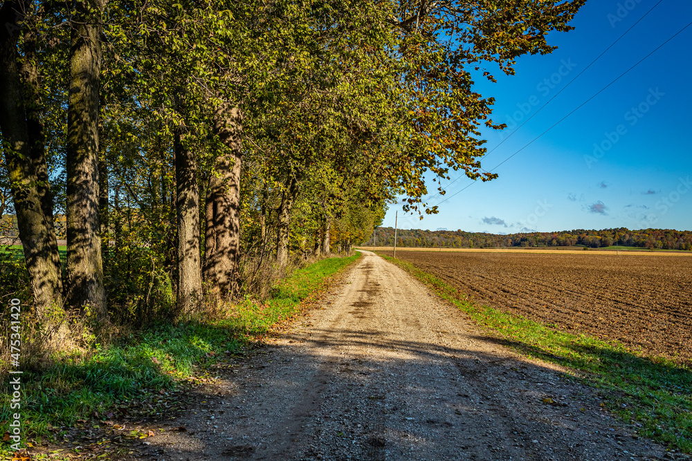 Fototapeta premium Indiana Dirt Road