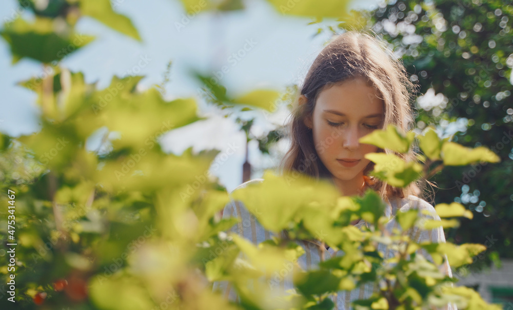 Tween girl collects red currants in the country. Tween girl collects red currants in the country.