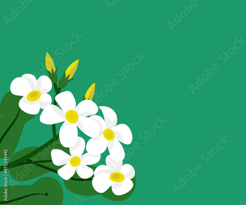 white floral on green background, flat design