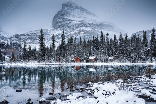 Fototapeta Lake O'hara with wooden hut and snow covered in pine forest on gloomy day at Yoh