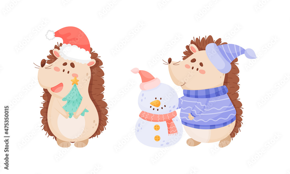 Cute funny hedgehog character activities set. Adorable baby animal celebrating Christmas and making snowman cartoon vector illustration Cute funny hedgehog character activities set. Adorable baby animal celebrating Christmas and making snowman cartoon vector illustration