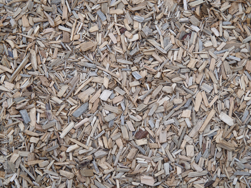 seeds background seeds background