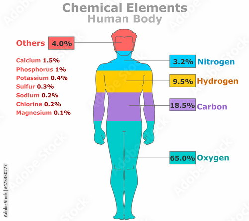 Chemical Elements in Human Body. Elemental composition. Percent ratios of oxygen, carbon, hydrogen, nitrogen, calcium, phosphorus, potassium, sulfur, sodium, Cl magnesium. Man, male silhouette. Vector