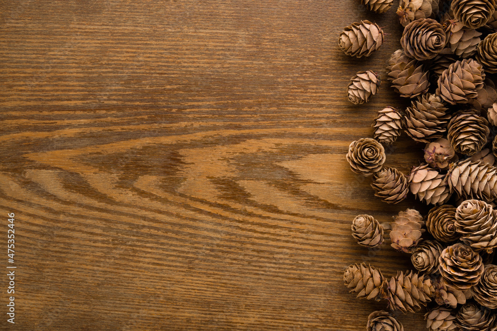 Dry brown pine cones on dark wooden table background. Closeup. Natural decorations. Empty place for inspirational text, quote or sayings. Top down view. Dry brown pine cones on dark wooden table background. Closeup. Natural decorations. Empty place for inspirational text, quote or sayings. Top down view.